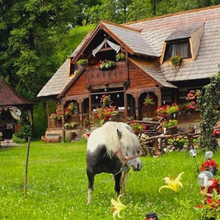 Pensiunea Rustic Oncesti Onceşti Exterior foto