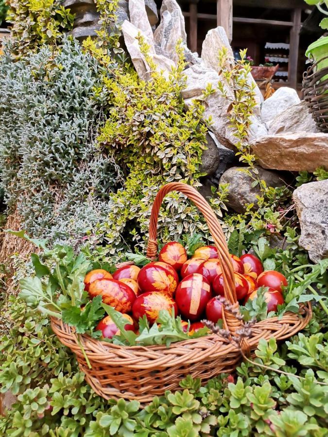 Pensiunea Rustic Oncesti Onceşti Exterior foto