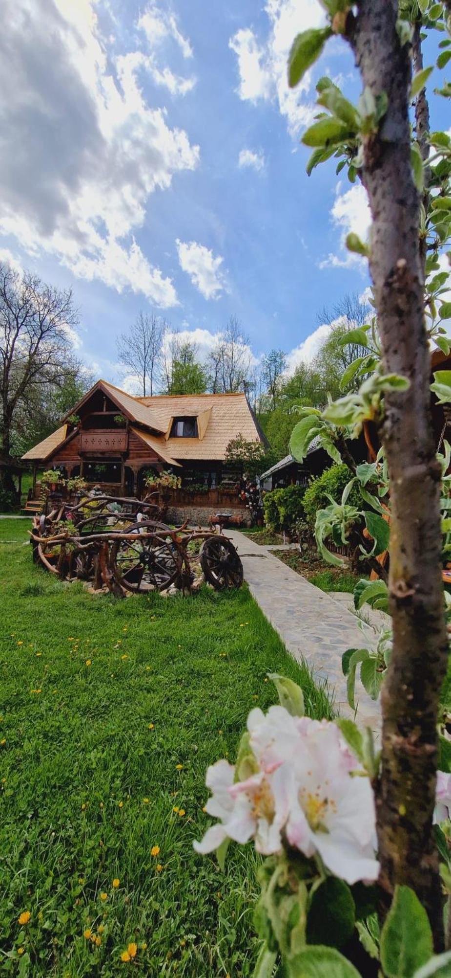 Pensiunea Rustic Oncesti Onceşti Exterior foto