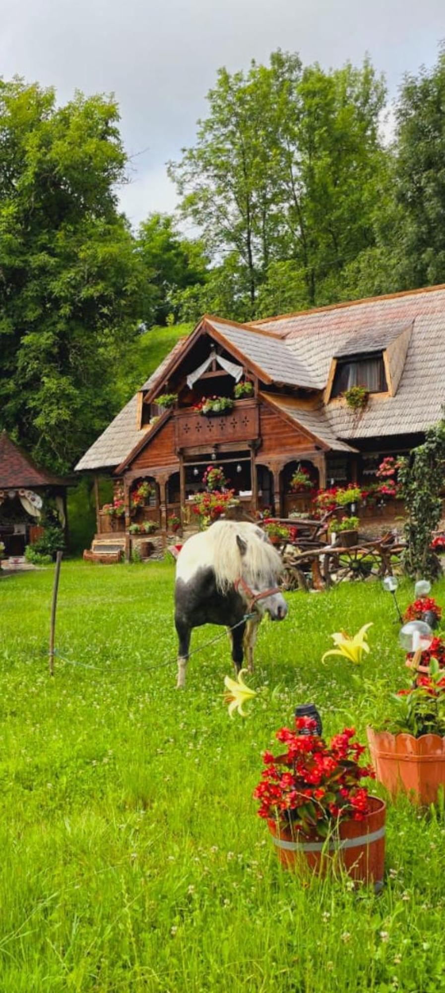 Pensiunea Rustic Oncesti Onceşti Exterior foto