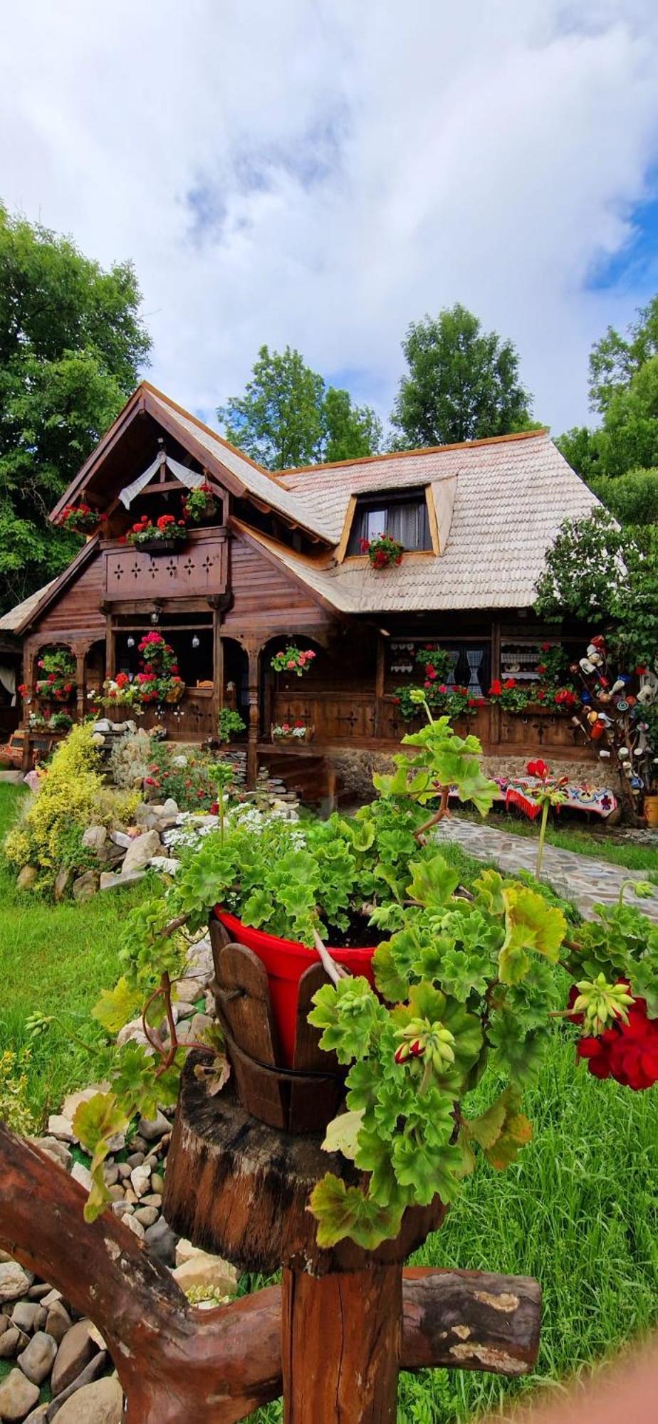 Pensiunea Rustic Oncesti Onceşti Exterior foto